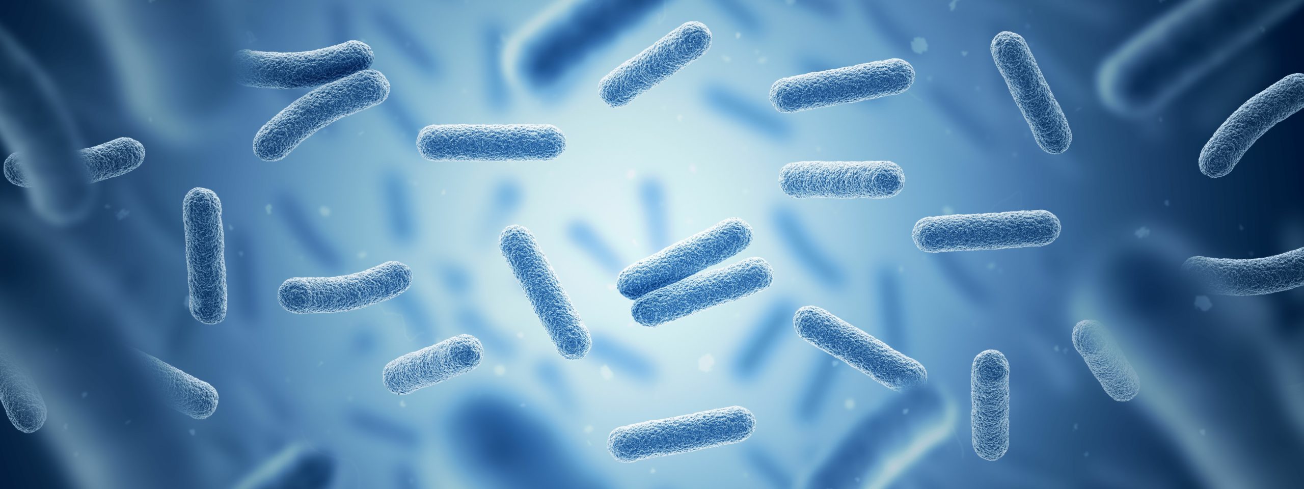 Antibiograma, una herramienta para la lucha contra las resistencias bacterianas